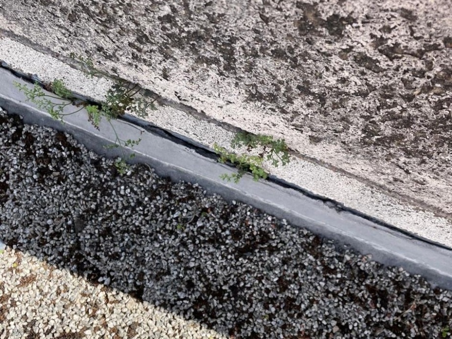 Felt Flat Roof Refurbishment, Commercial Property->title 3