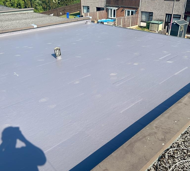 Flat Roof Replacement, Polyroof Liquid System->title After